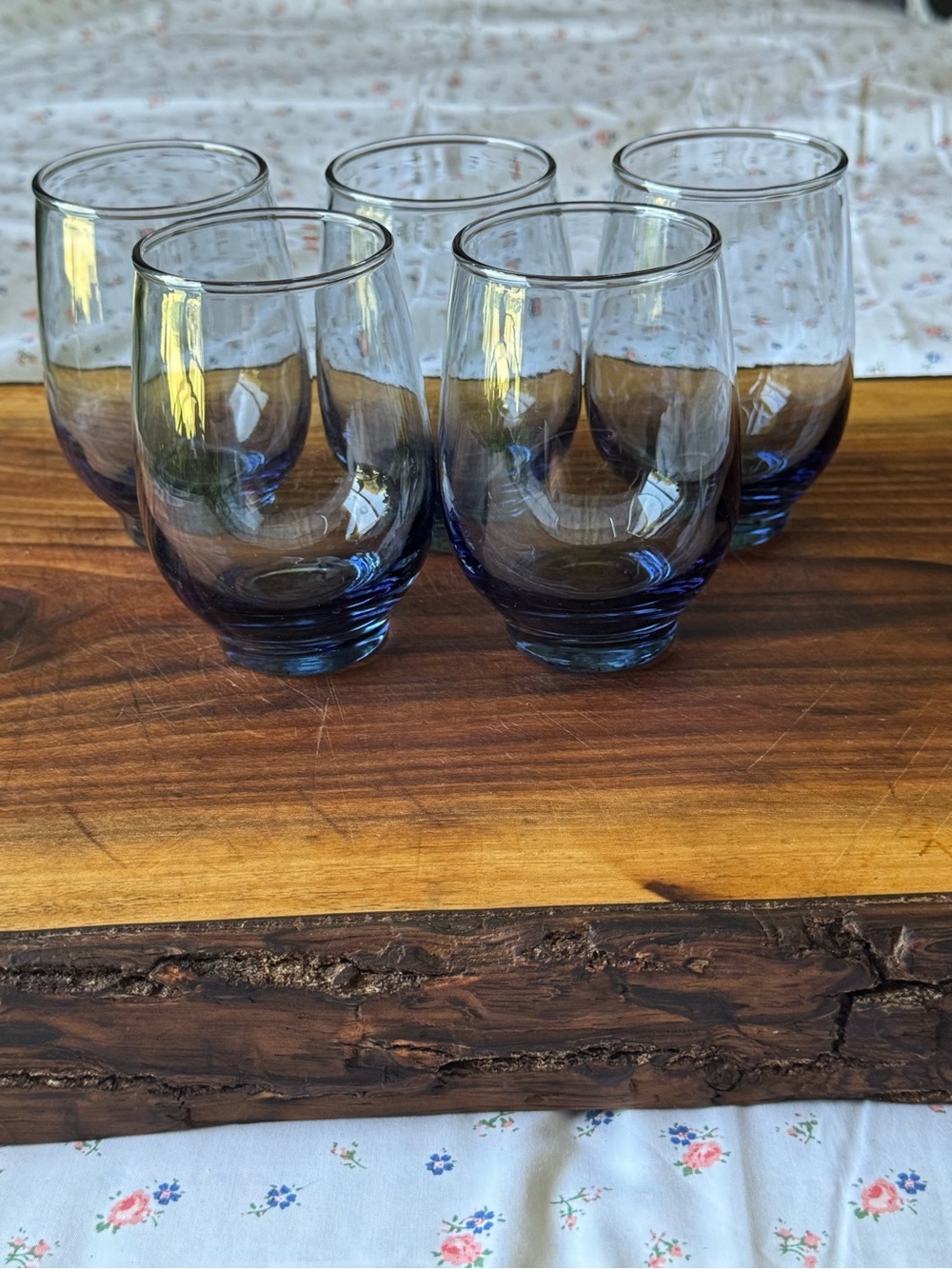 Libbey Set of 5 Stemless Glasses in Light Blue Tint